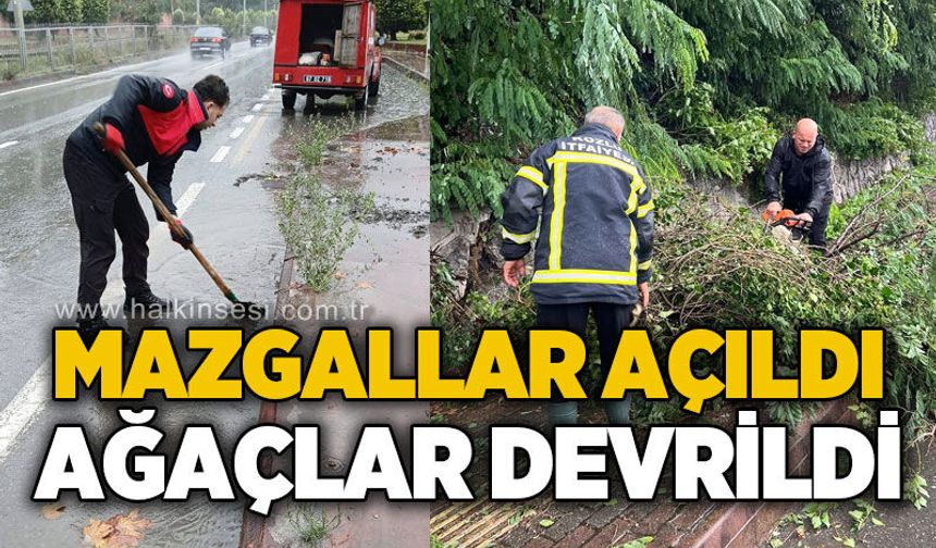 Mazgallar açıldı, ağaçlar devrildi