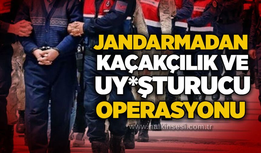 Jandarmadan kaçakçılık ve uyuşturucu operasyonu