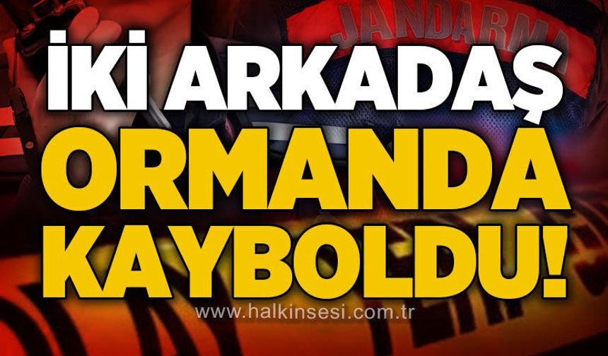 Mantar toplarken kaybolan 2 kişiye 14 saat sonra ulaşıldı