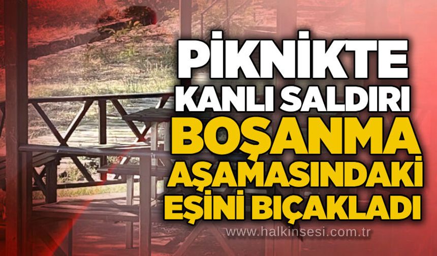 Piknikte kanlı saldırı: Boşanma aşamasındaki eşini bıçakladı