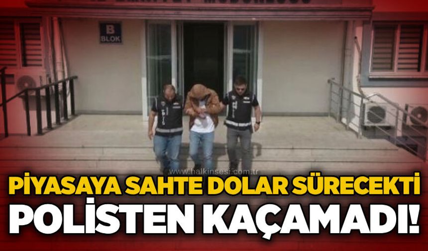 Piyasaya sahte dolar sürecekti: Polisten kaçamadı!
