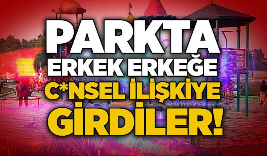 Parkta erkek erkeğe c*nsel ilişkiye girdiler!