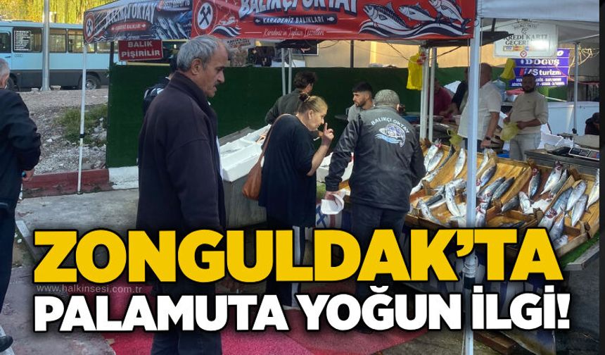 Zonguldak’ta palamuta yoğun ilgi!