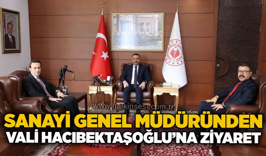 Sanayi Genel Müdürü Prof. Dr. İlker Murat Ar’dan Vali Hacıbektaşoğlu’na ziyaret