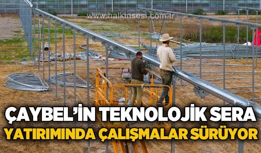 ÇAYBEL'in Teknolojik Sera projesinde çalışmalar hızla sürüyor