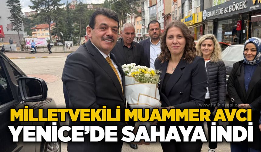 Milletvekili Muammer Avcı Yenice’de sahaya indi
