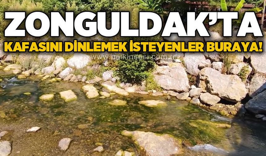 Çaycuma'daki keşfedilmemiş Çayır Mağarası doğasıyla huzur veriyor