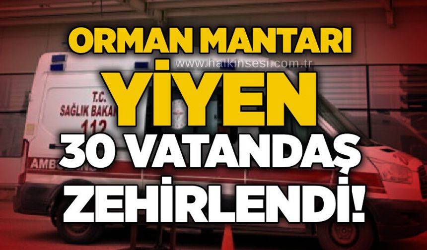 Orman mantarı yiyen 30 vatandaş zehirlendi