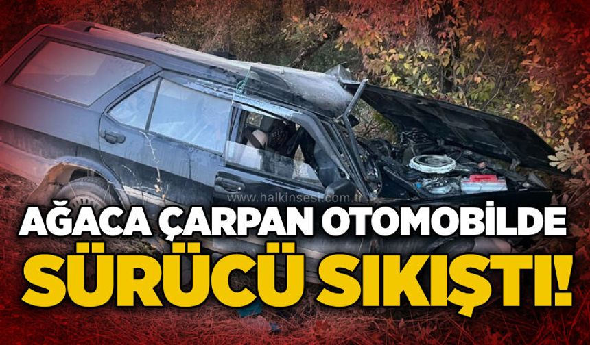 Ağaca çarpan otomobilde sürücü sıkıştı!