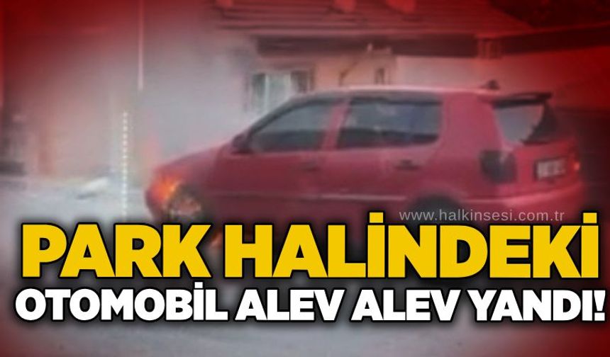 Park halindeki otomobil alev alev yandı!