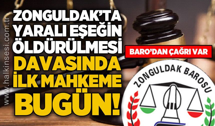 Zonguldak'ta yaralı eşeğin öldürülmesi davasında ilk duruşma bugün
