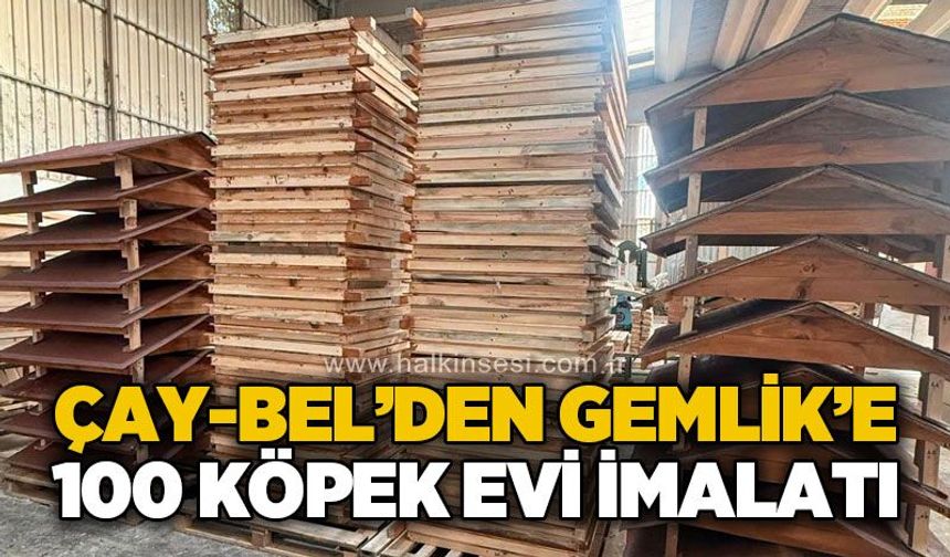 Çaycuma Belediyesi'nden Gemlik'e 100 köpek evi
