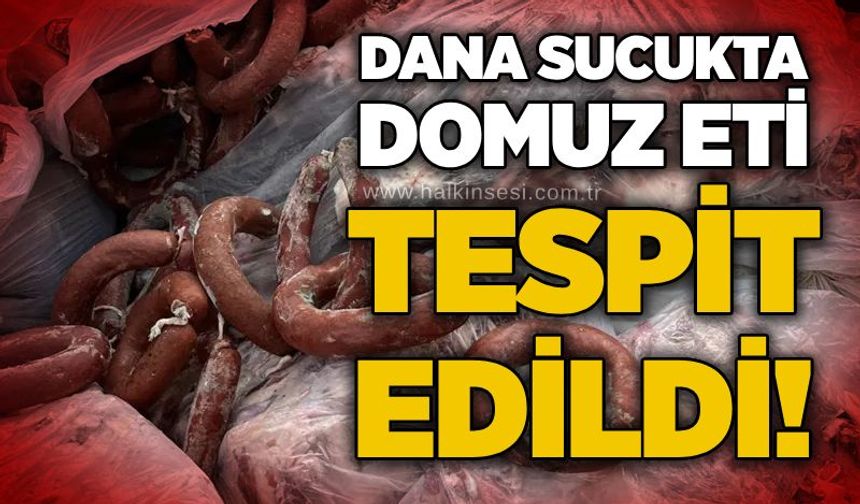 Dana sucukta domuz eti tespit edildi!