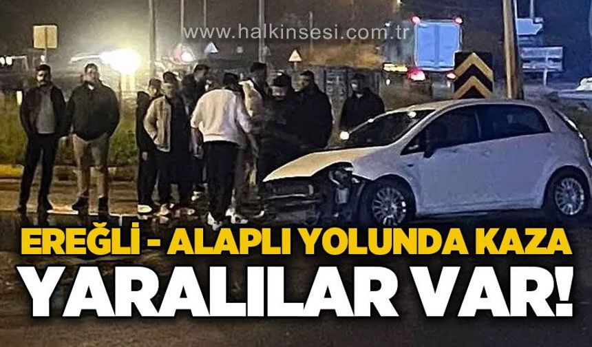 Ereğli - Alaplı yolunda otomobil direğe çarptı: 2 yaralı