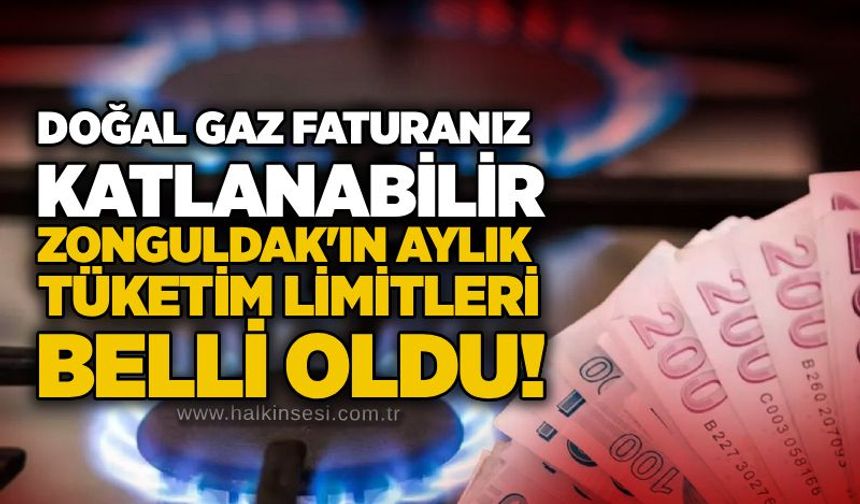 Doğal gaz faturanız katlanabilir: Zonguldak'ın aylık tüketim limitleri belli oldu!