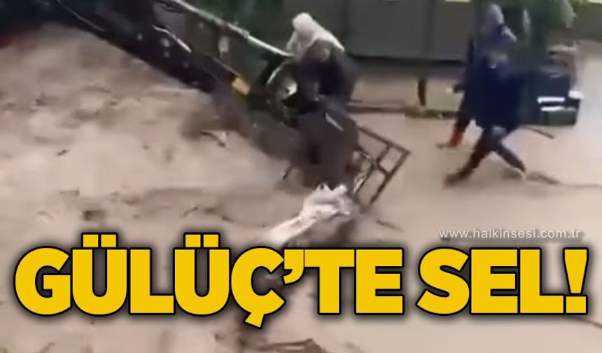 Gülüç'te sel felaketi: Mücadele sürüyor!