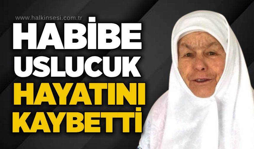 Habibe Uslucuk hayatını kaybetti