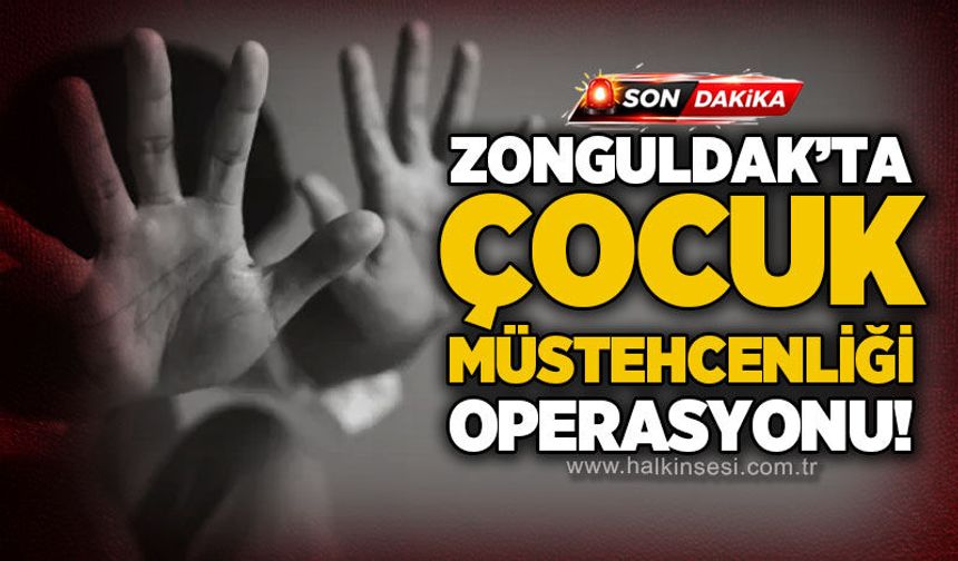 Zonguldak dahil 61 ilde siber operasyon: 547 şüpheli yakalandı