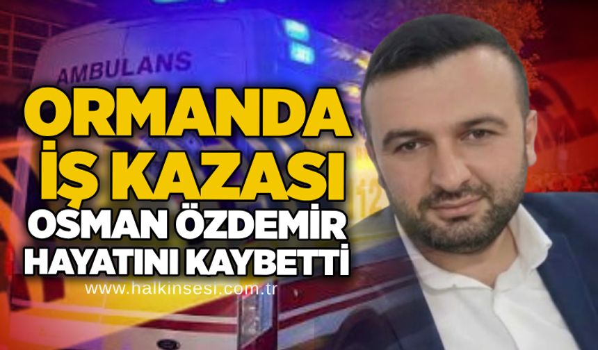 Ormanda iş kazası: Osman Özdemir hayatını kaybetti