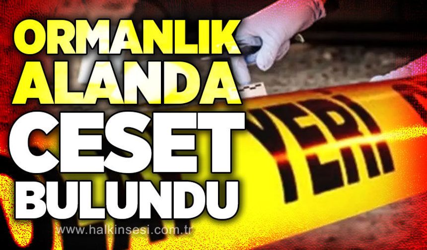 Kayıp vatandaşın ormanlık alanda ces*dine ulaşıldı
