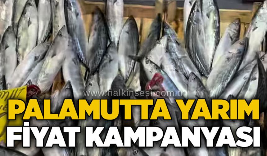 Palamutta yarım fiyat kampanyası