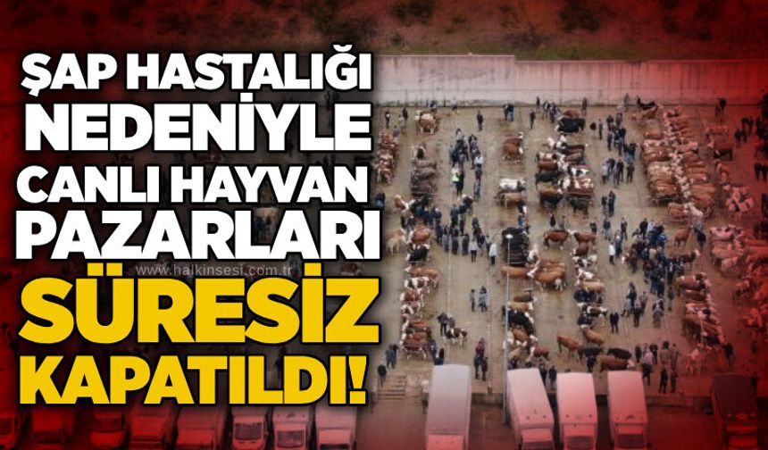 Şap hastalığı nedeniyle canlı hayvan pazarları süresiz kapatıldı!