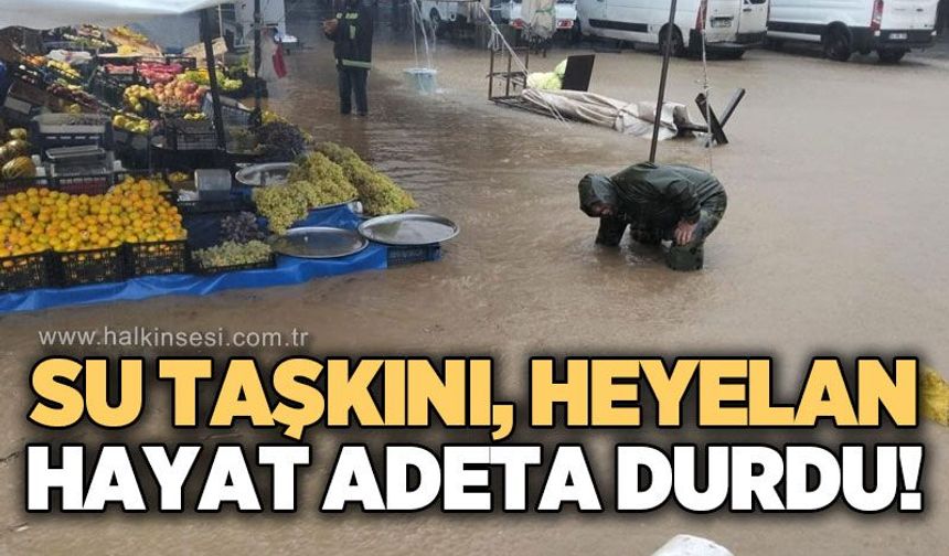 Su taşkını, heyelan: Hayat adeta felç oldu!