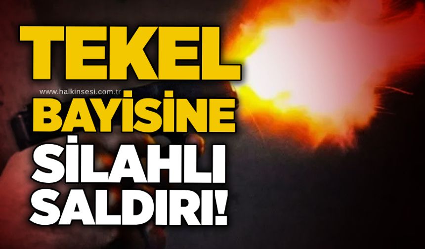 Tekel bayisine silahlı saldırı!