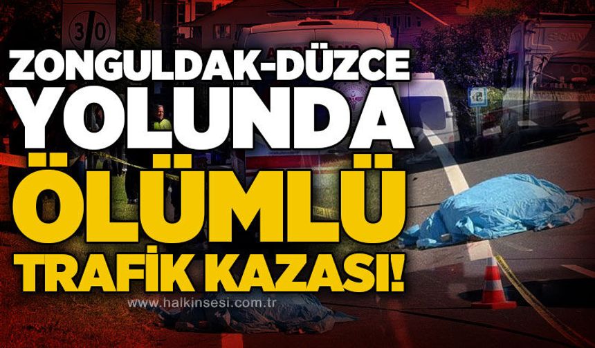 Zonguldak - Düzce yolunda ölümlü trafik kazası!