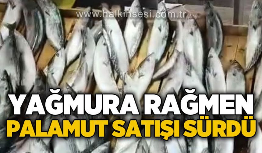Zonguldak'ta yağmura rağmen palamut satışı sürdü
