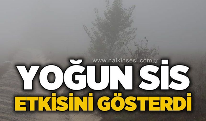 Ankara yolunda yoğun sis etkili oldu: Görüş mesafesi 50 metreye düştü!