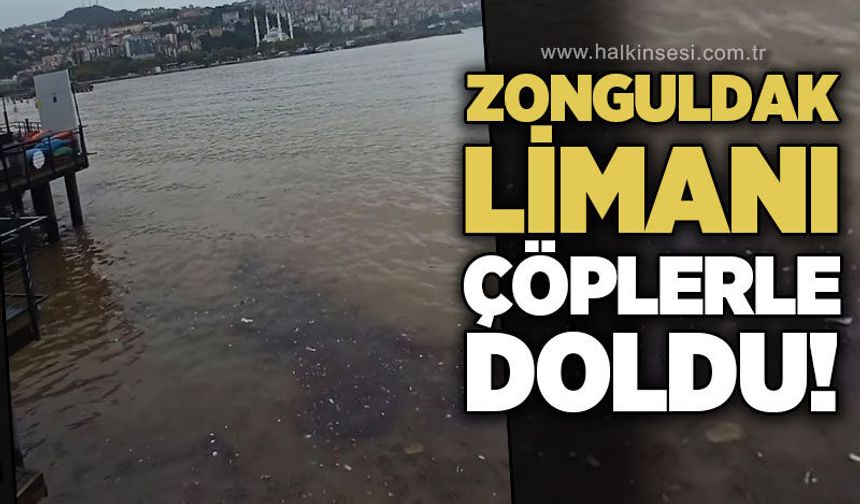 Zonguldak Limanı çöplerle doldu!