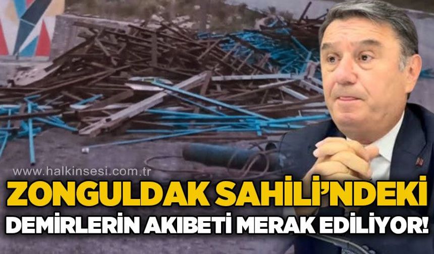 Zonguldak Sahili'ndeki demirlerin akıbeti kamuoyuna açıklansın!