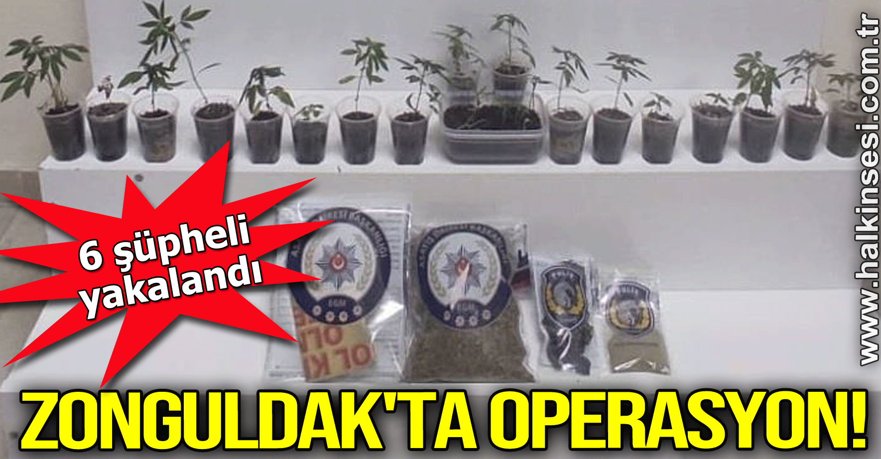 Zonguldak'ta operasyon! 6 şüpheli yakalandı