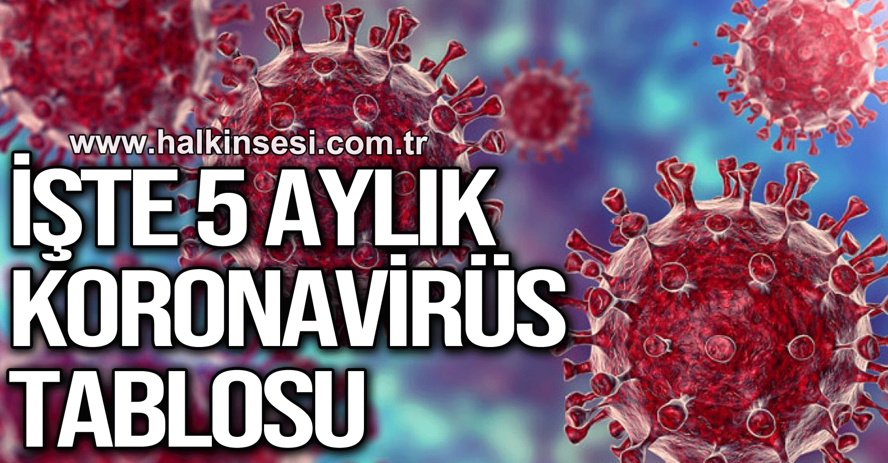 Sağlık Bakanlığı 5 aylık koronavirüs tablosunu açıkladı