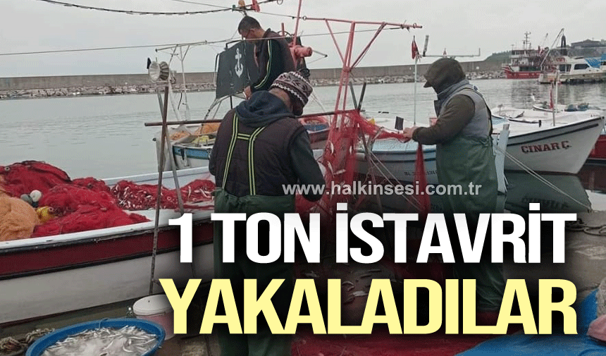 1 ton istavrit yakaladılar