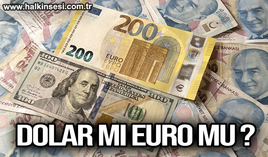 Dolar mı Euro mu ?