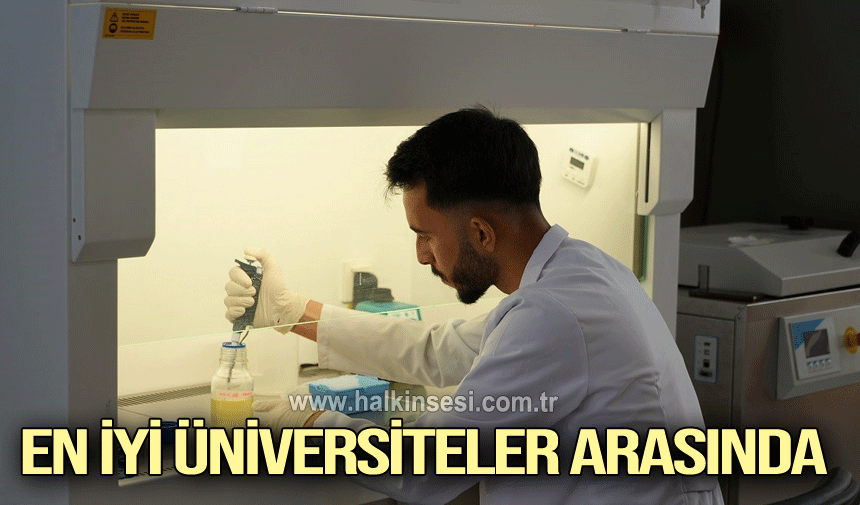 Karabük Üniversitesi 29 alanda en iyi üniversiteler arasında