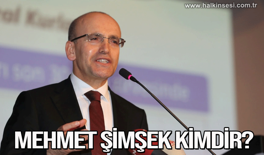 Yeni Hazine ve Maliye Bakanı Mehmet Şimşek kimdir ?