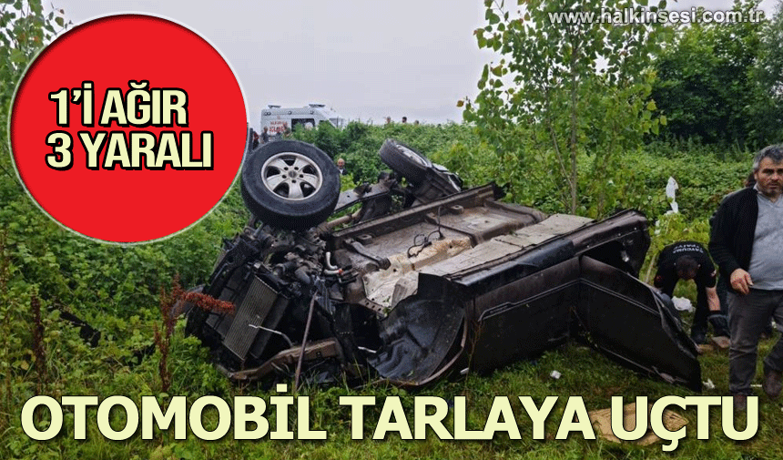 Zonguldak'ta otomobil tarlaya uçtu: 1’i ağır 3 yaralı