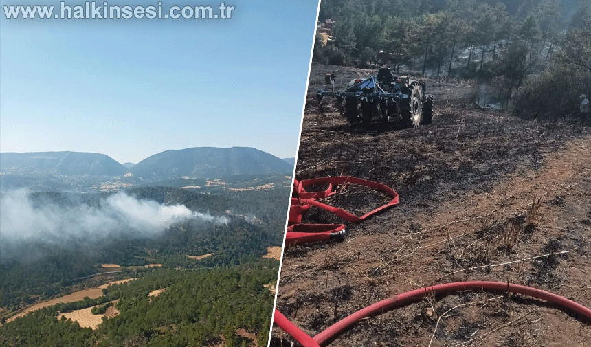 Bolu'daki orman yangınına helikopterler havadan müdahale ediyor