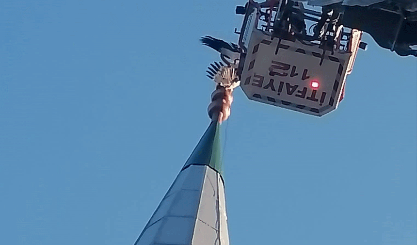 Minareye takılan leyleği itfaiye ekipleri kurtardı