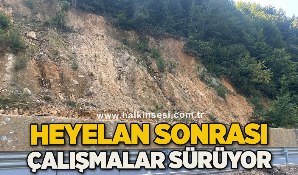 Heyelan sonrası çalışmalar sürüyor