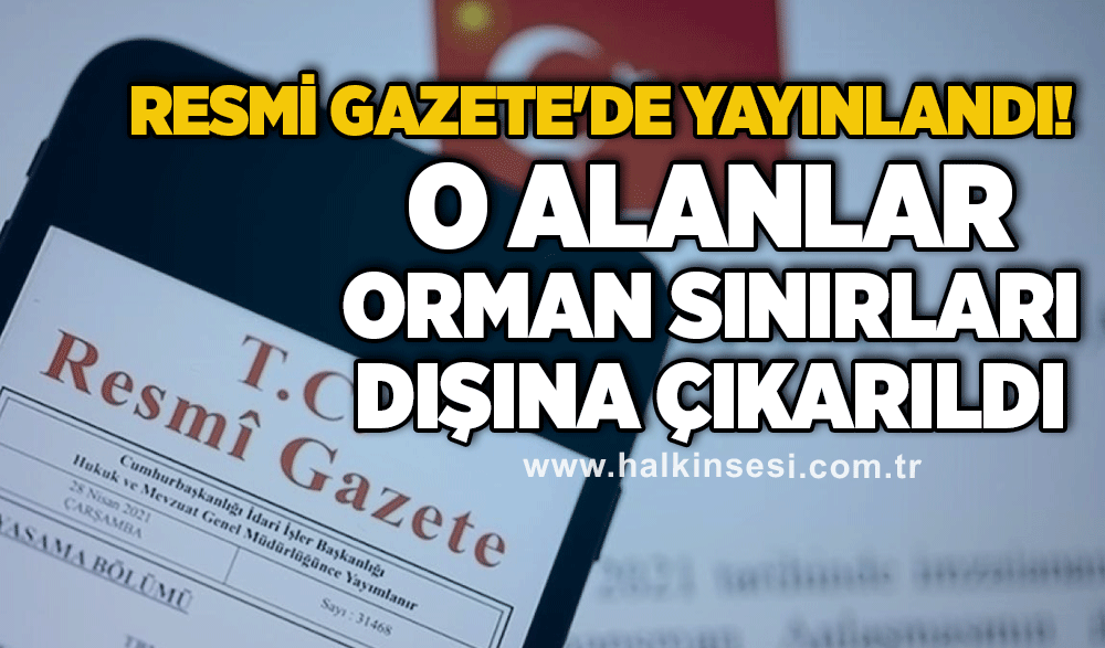 Resmi Gazete'de yayınlandı... Zonguldak'taki bazı alanlar orman sınırları dışına çıkarıldı