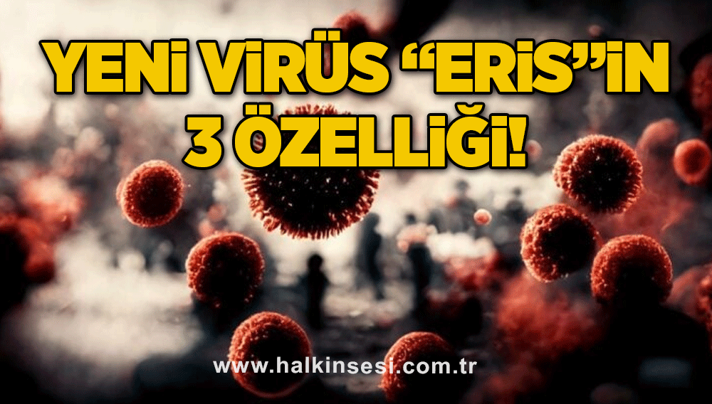 Yeni virüs “Eris”in 3 özelliği!