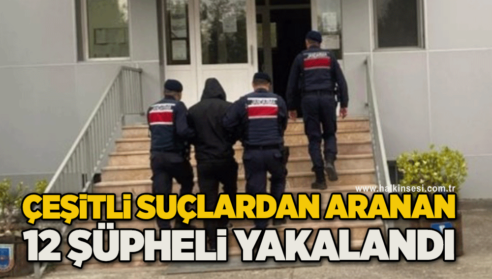 Çeşitli suçlardan aranan 12 şüpheli yakalandı