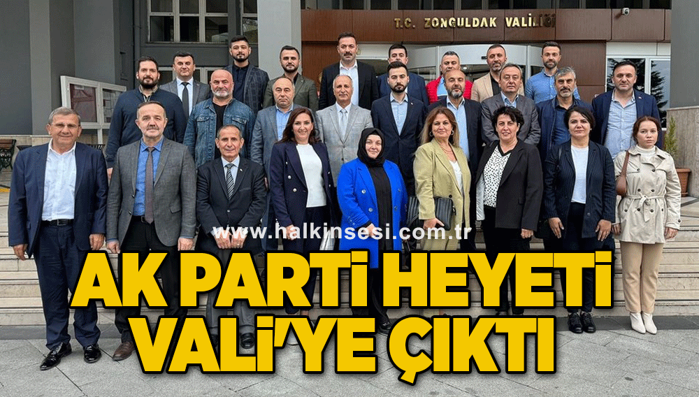 AK Parti heyeti Vali'ye çıktı
