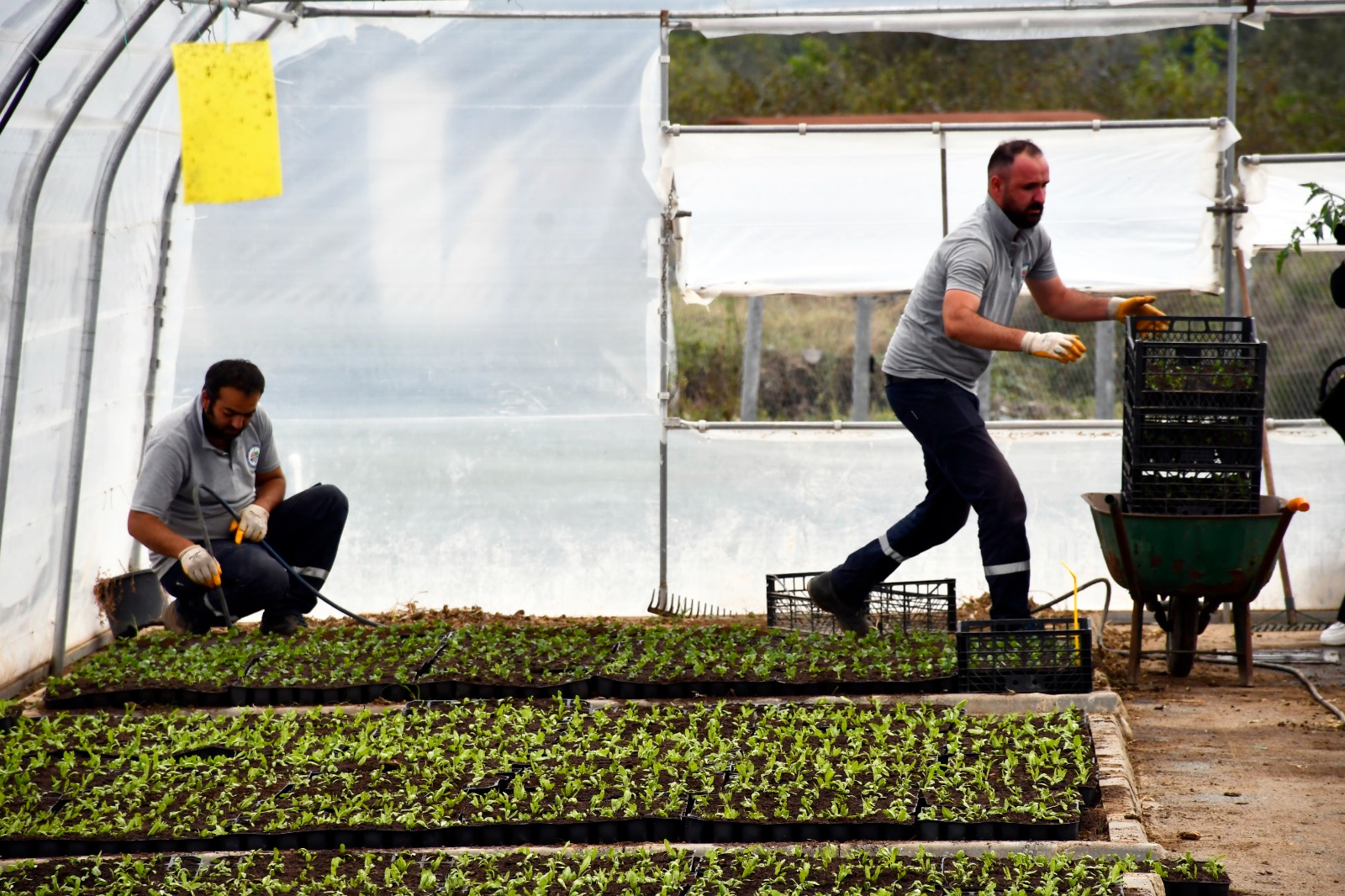 WhatsApp Image 2023-10-11 at 12.27.25 PM (1)