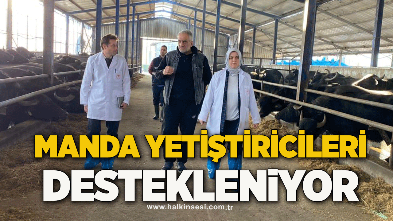 Manda yetiştiricileri destekleniyor