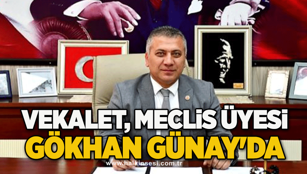 Vekalet, Meclis Üyesi Gökhan Günay'da